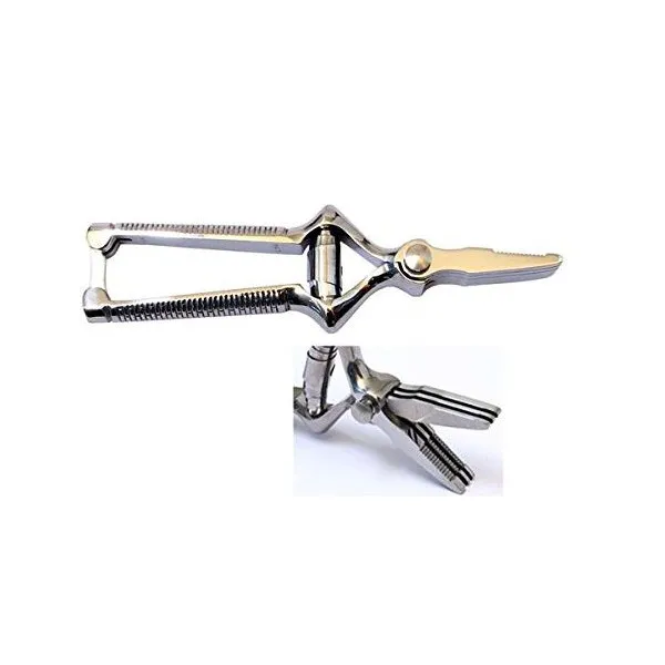 Roger Orfèvre Chrome masticator