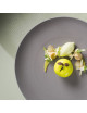 DEGRENNE 6 Modulo nature Terre d'Ombre plates - 5 sizes