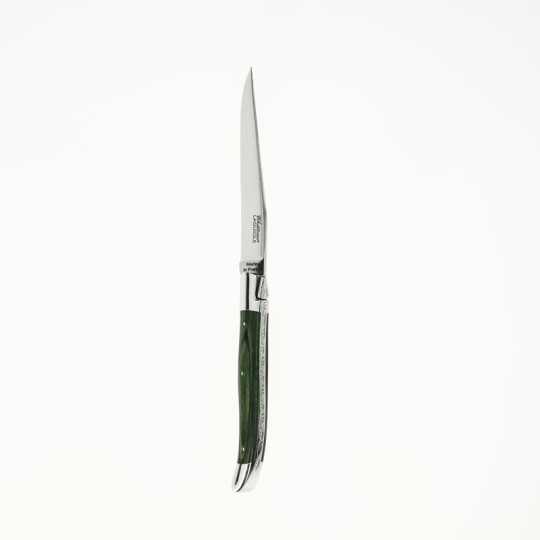 CHATEAU LAGUIOLE Set of 6 Table Knives, Green Stamina Heritage Collection