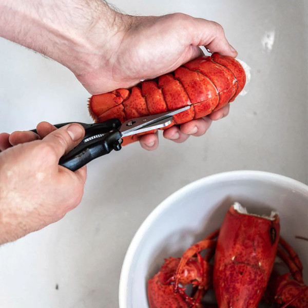 DE BUYER Stainless Steel Shellfish Scissors