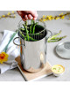 CRISTEL 16cm Stainless Steel Asparagus Cooker