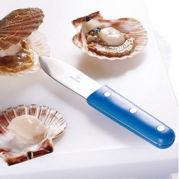 MATFER Blue Scallop Knife