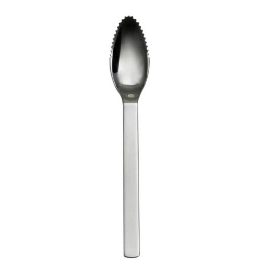 DEGRENNE Set of 6 Modulo Miroir Citrus Spoons