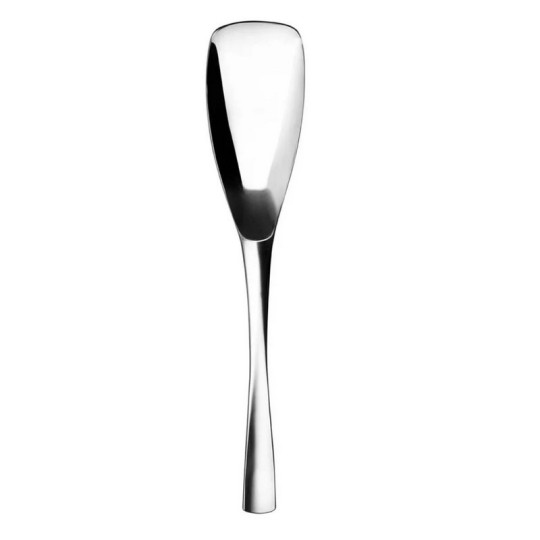 DEGRENNE XY Mirror Serving Spoon