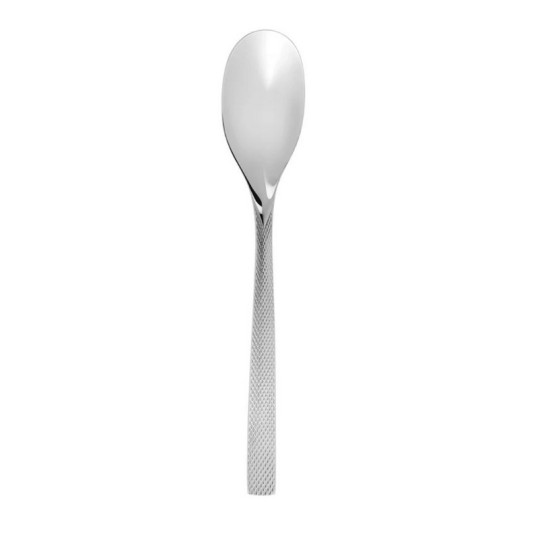 DEGRENNE Guest Star Mirror Serving Spoon