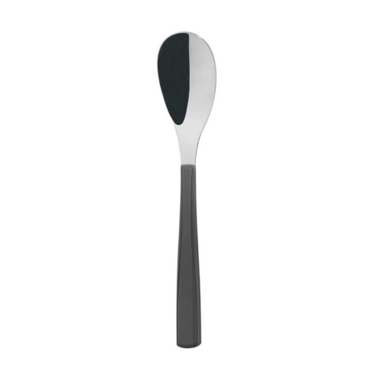 DEGRENNE Quartz Mirror Carbon Set of 6 Table Spoons