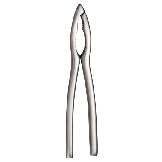 DEGRENNE Stainless Steel Shellfish Tongs