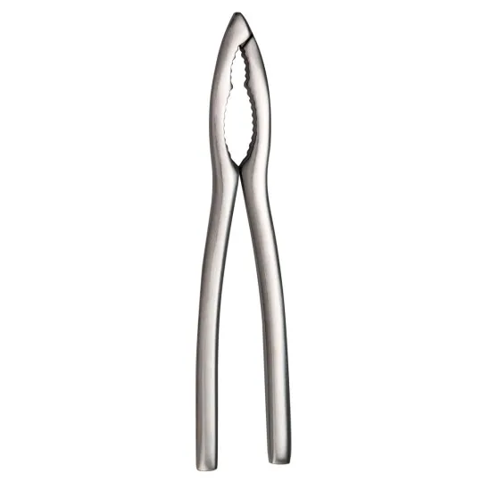DEGRENNE Stainless Steel Shellfish Tongs