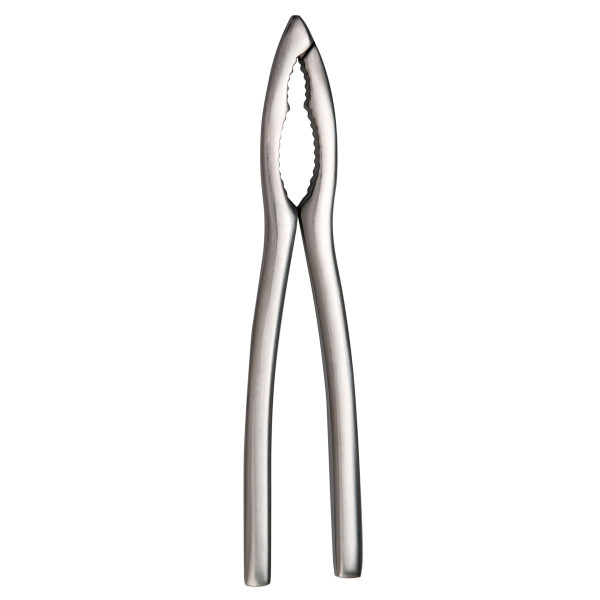 DEGRENNE Stainless Steel Shellfish Tongs