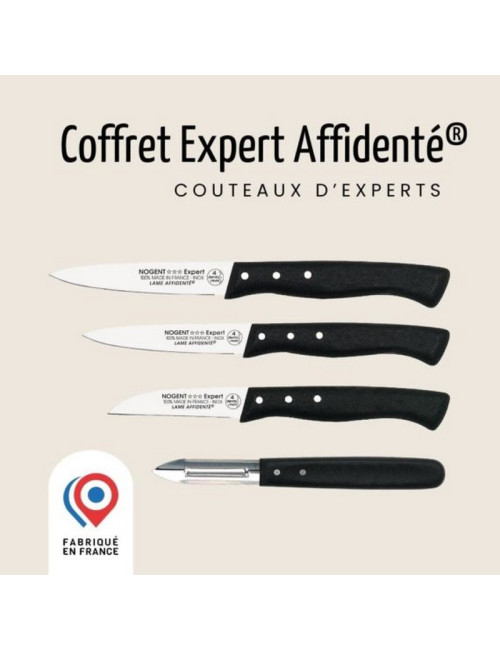 NOGENT 4-Piece Set of Expert Affirmed Polypro Kitchen Knives
