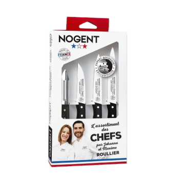 NOGENT 4-Piece Set of Expert Affirmed Polypro Kitchen Knives