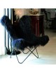 AIRBORNE Butterfly AA Lhassa armchair - 2 colors