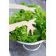 Couverts à salade REINE MERE Du bout des Branches en hêtre