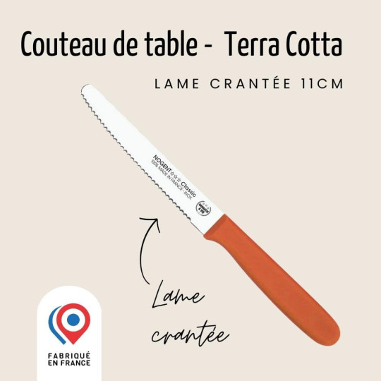 Couteau de table NOGENT 3 ETOILES double crantage 11cm Polypro - 3 coloris