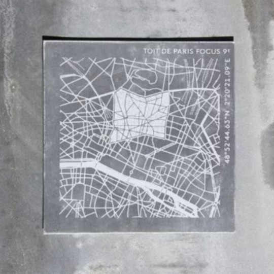 Morceau de TOIT DE PARIS sérigraphié Focus plan arrondissement - 20 modèles