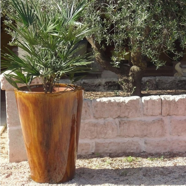 copy of Cuvier contemporain