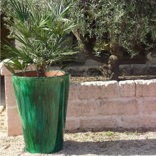 copy of Cuvier contemporain