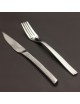 Guest Star Cutlery DEGRENNE