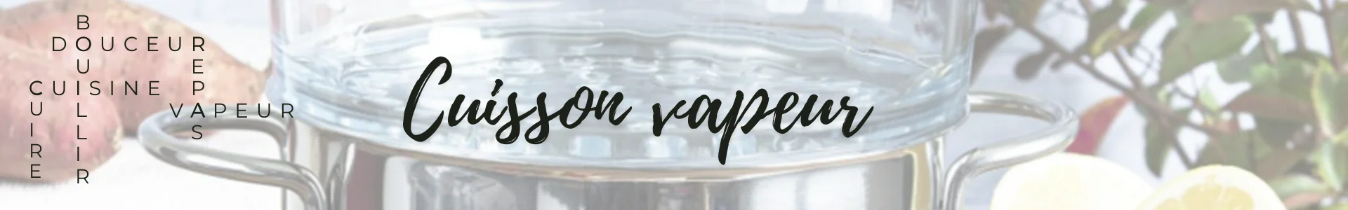 High-end steam cooking Made in France | France Corner