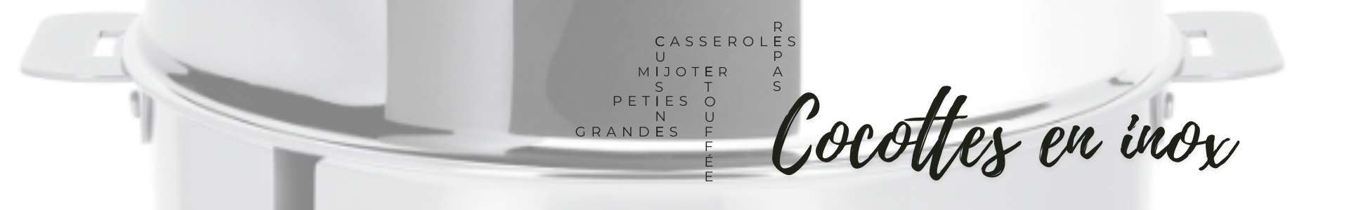 Design stainless steel cocotte dish Made in France | France Corner